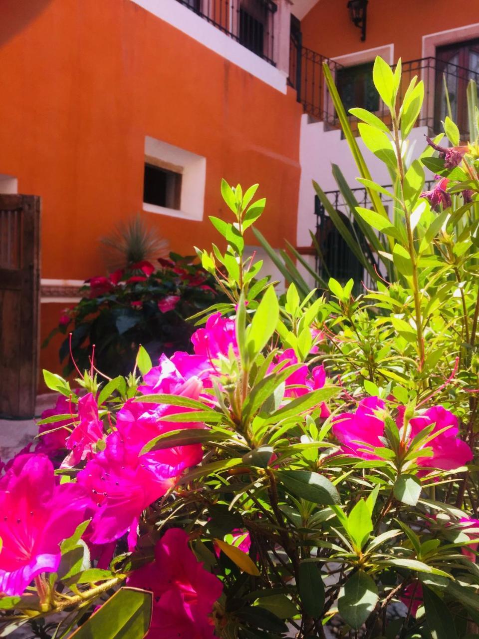 Casa Pozo Del Rayo Hotel Boutique Dolores Hidalgo Buitenkant foto
